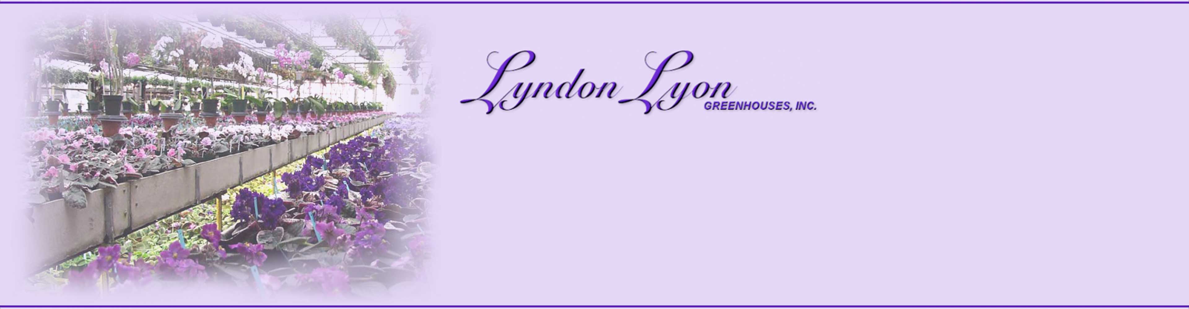 footer image with contact information